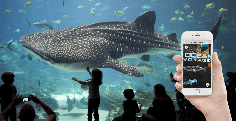 Picture For this example, i used a plant shop template from figmacrush and tweaked it out a little . Ar App Design Aquarium Tica S Portfolio